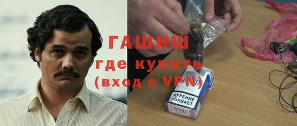 гидра Абаза