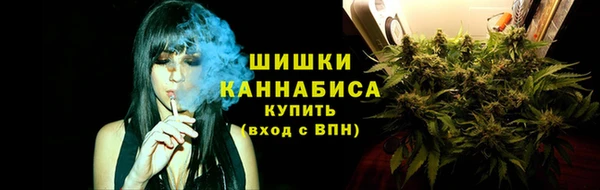 гидра Абаза