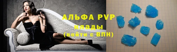 гидра Абаза