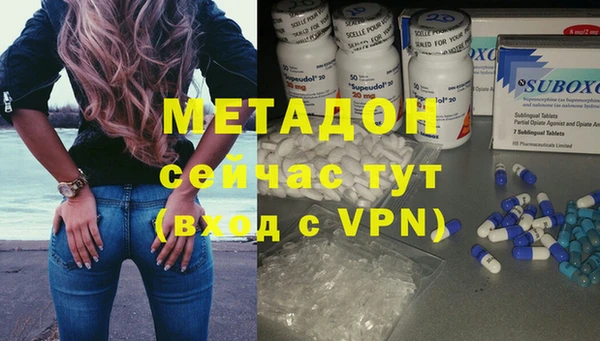 гидра Абаза