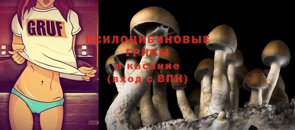 apvp Абдулино