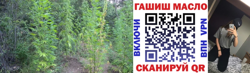 shop клад  закладка  Лодейное Поле  Дистиллят ТГК вейп с тгк 