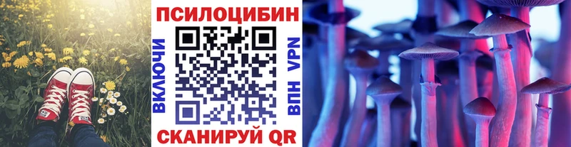 Псилоцибиновые грибы мухоморы  Лодейное Поле 
